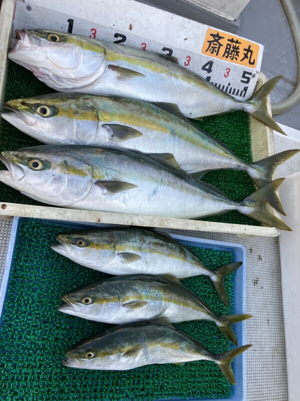 釣果写真