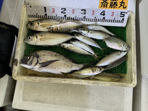 釣果写真