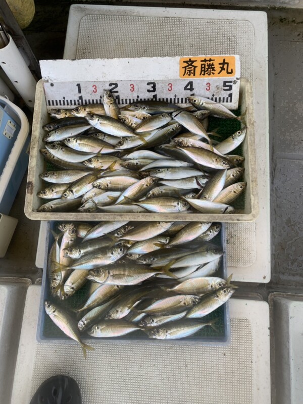 釣果写真