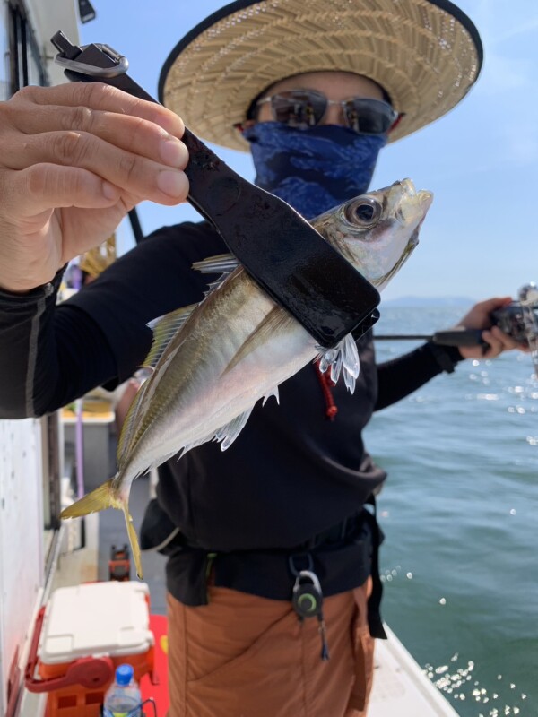 釣果写真