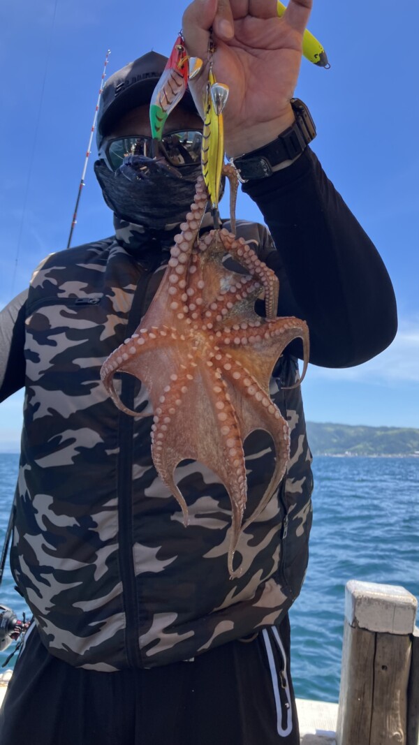 釣果写真