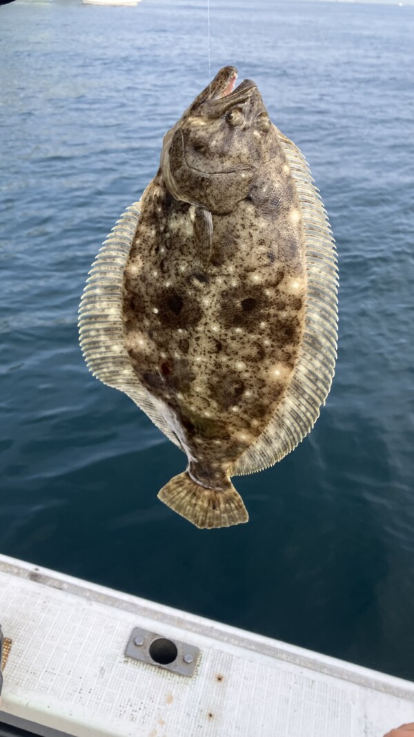 釣果写真