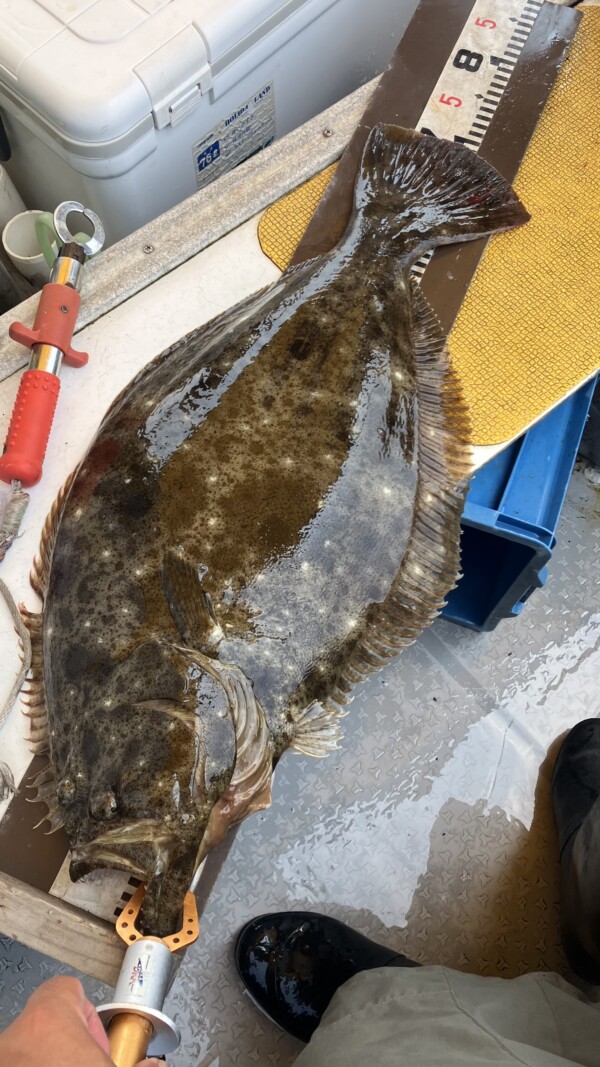 釣果写真