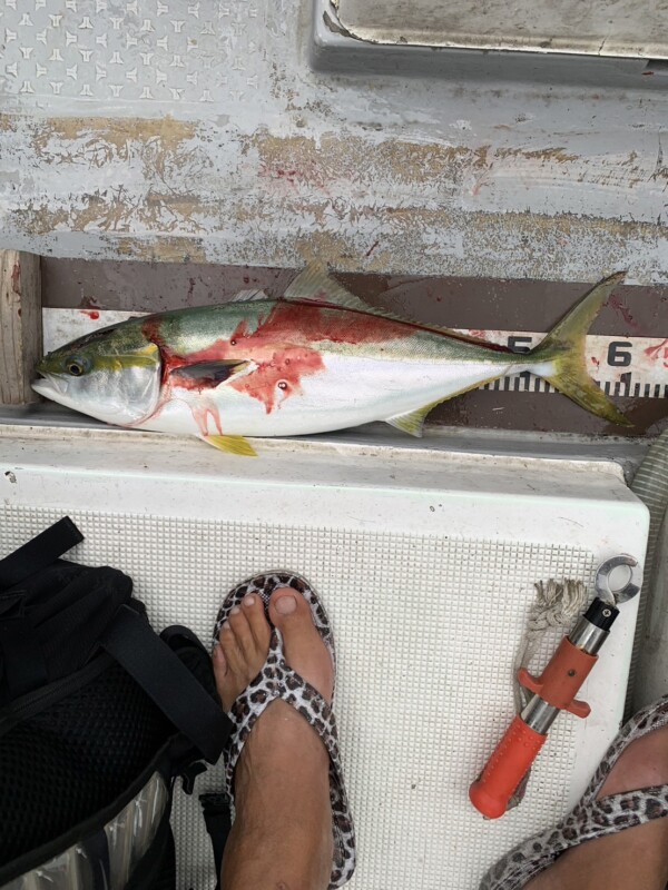 釣果写真