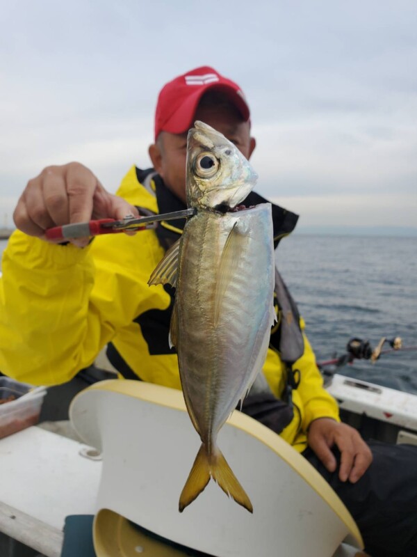 釣果写真