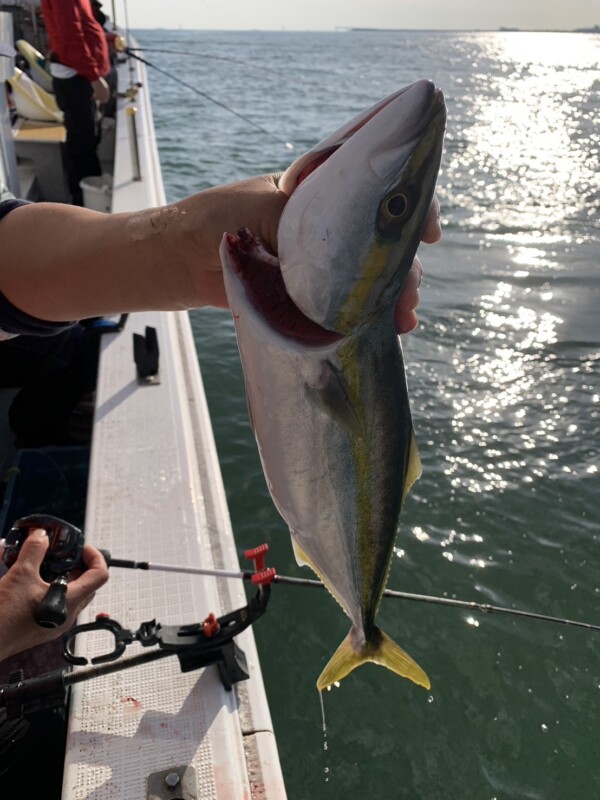 釣果写真