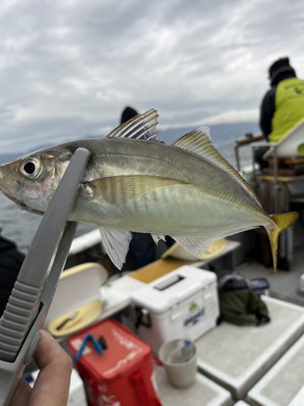 釣果写真