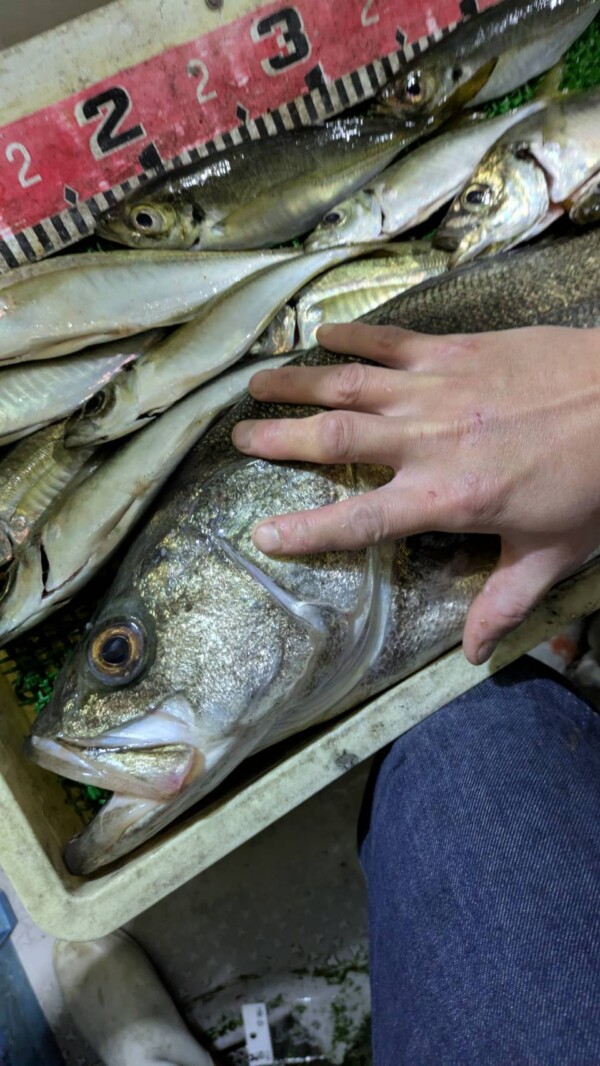 釣果写真