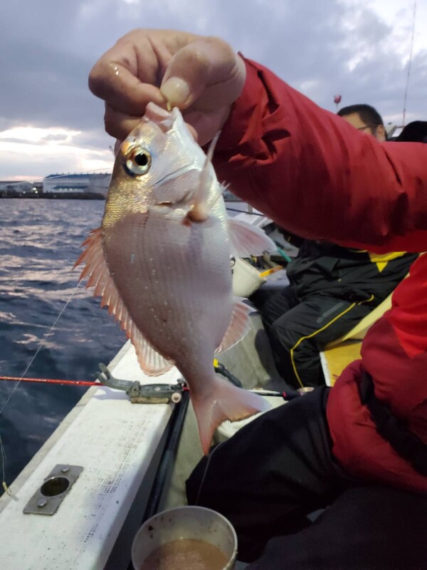 釣果写真