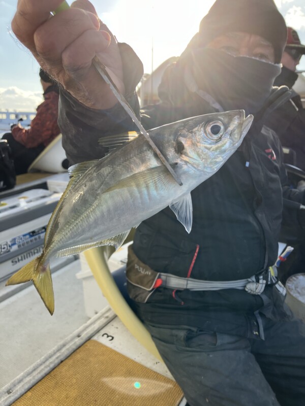 釣果写真