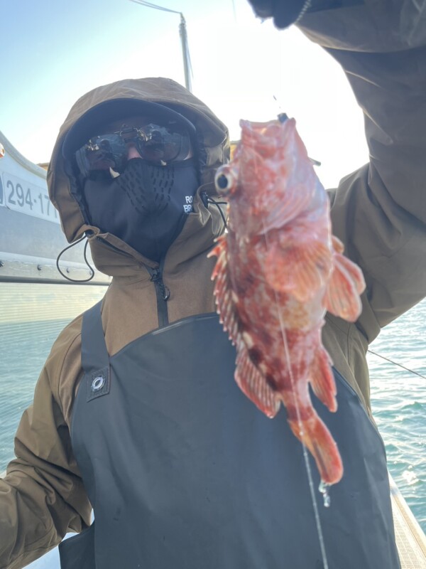 釣果写真