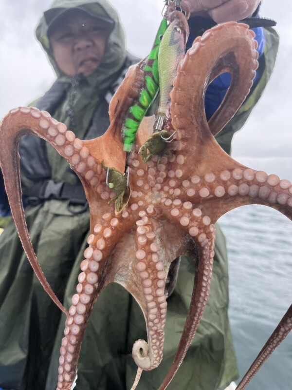釣果写真