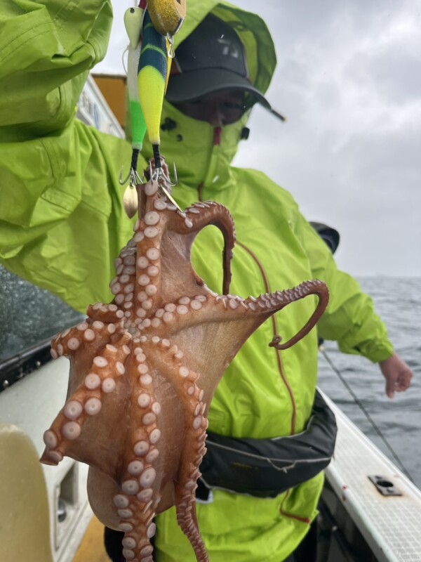 釣果写真