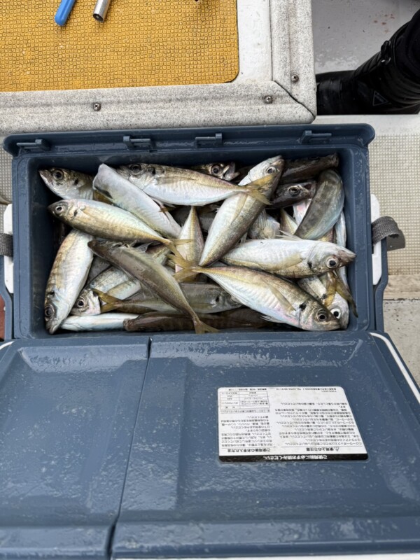 釣果写真