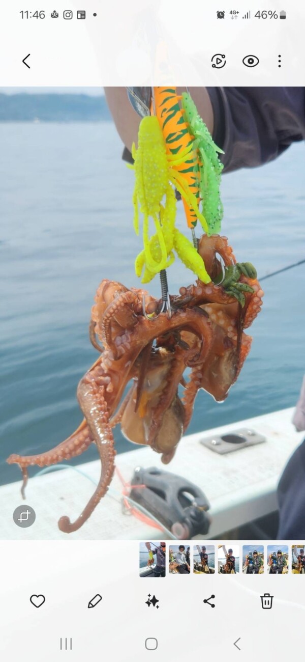 釣果写真
