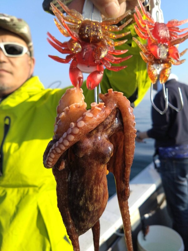 釣果写真