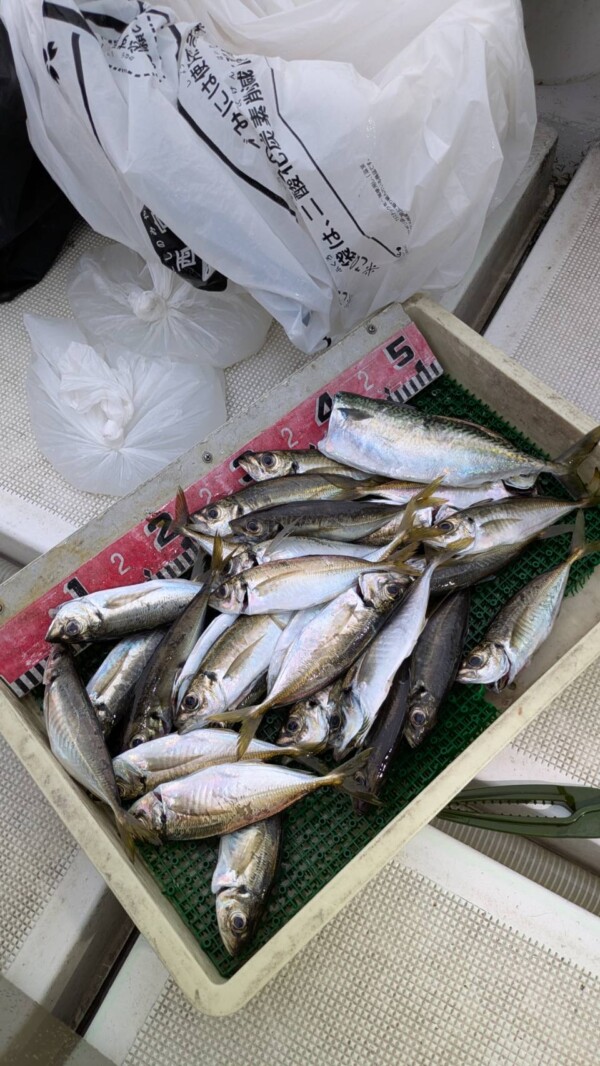 釣果写真