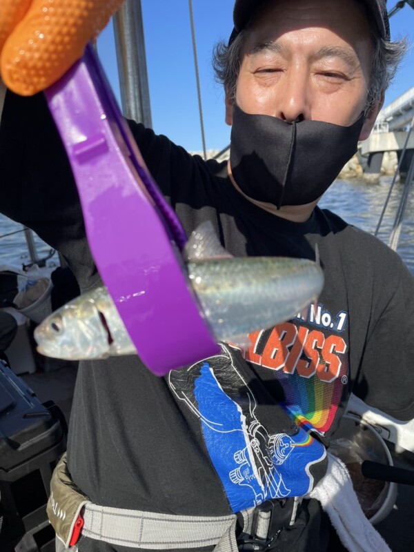 釣果写真