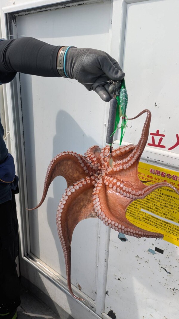 釣果写真