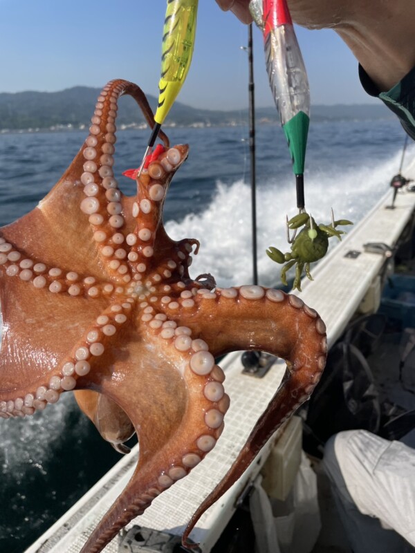 釣果写真