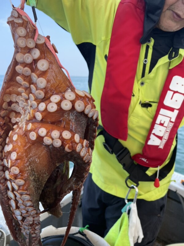 釣果写真