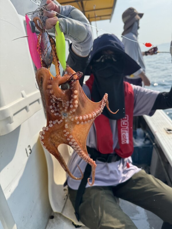 釣果写真
