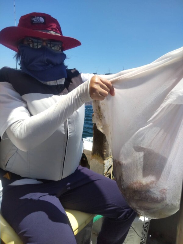 釣果写真