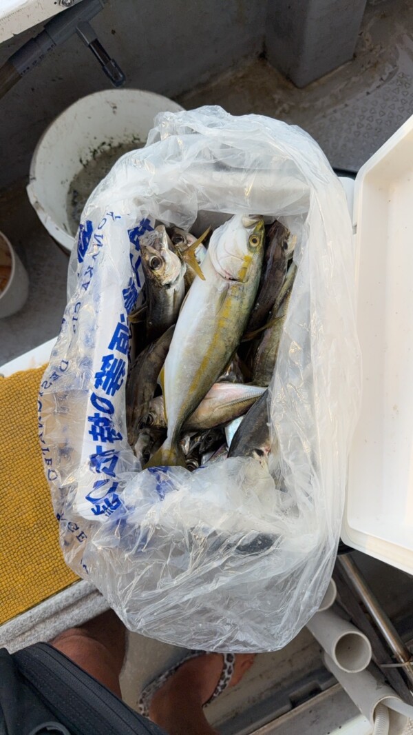 釣果写真