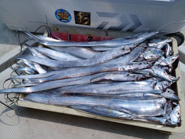 釣果写真