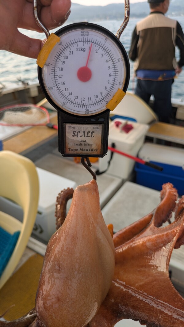 釣果写真