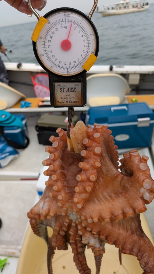 釣果写真