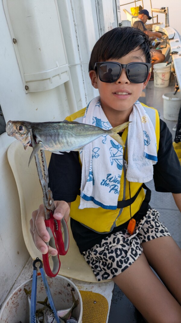 釣果写真