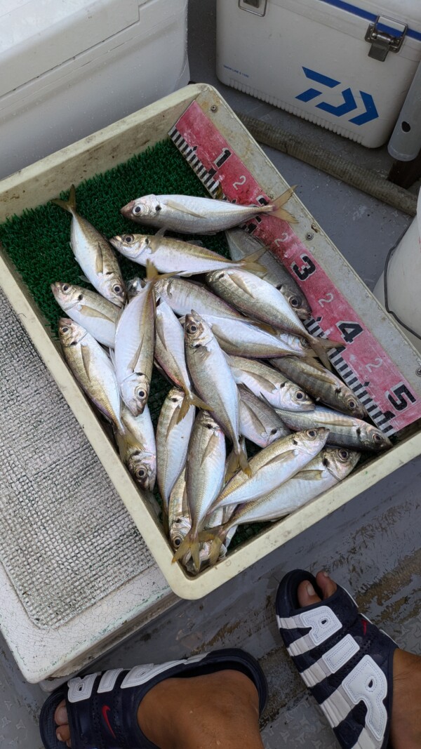釣果写真