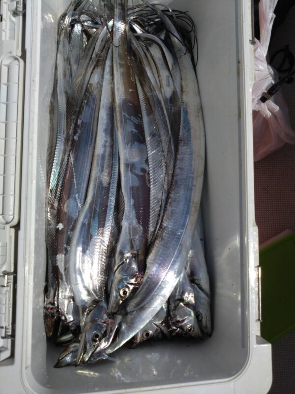 釣果写真
