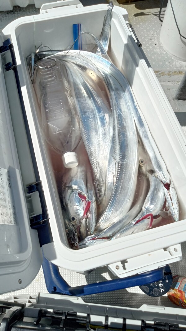 釣果写真