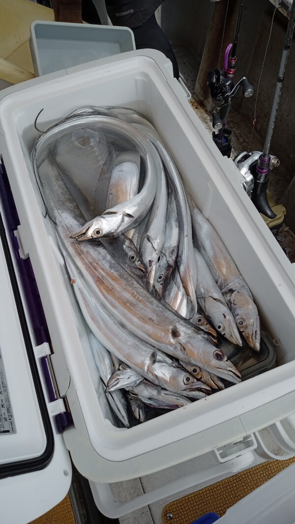 釣果写真
