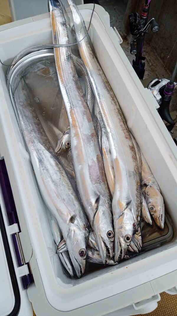 釣果写真