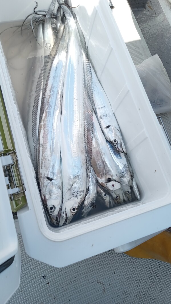 釣果写真