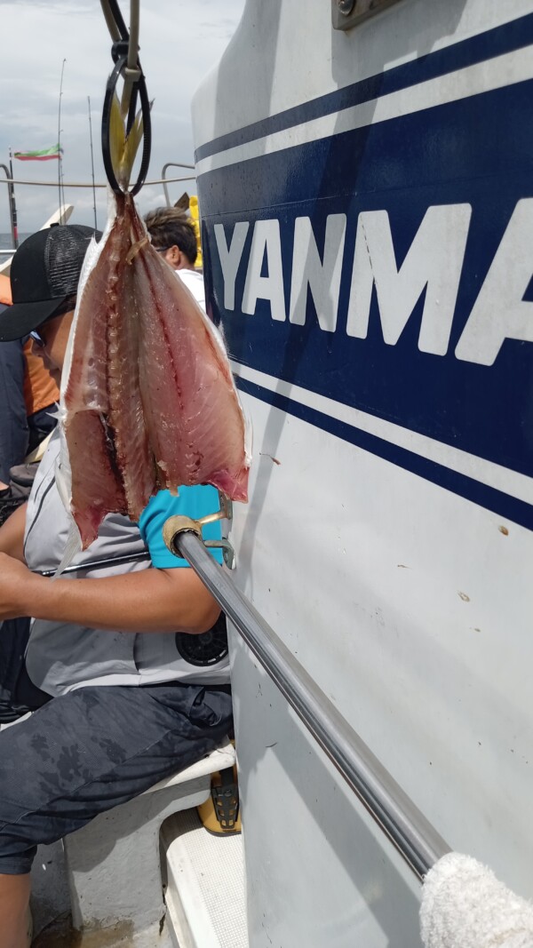 釣果写真