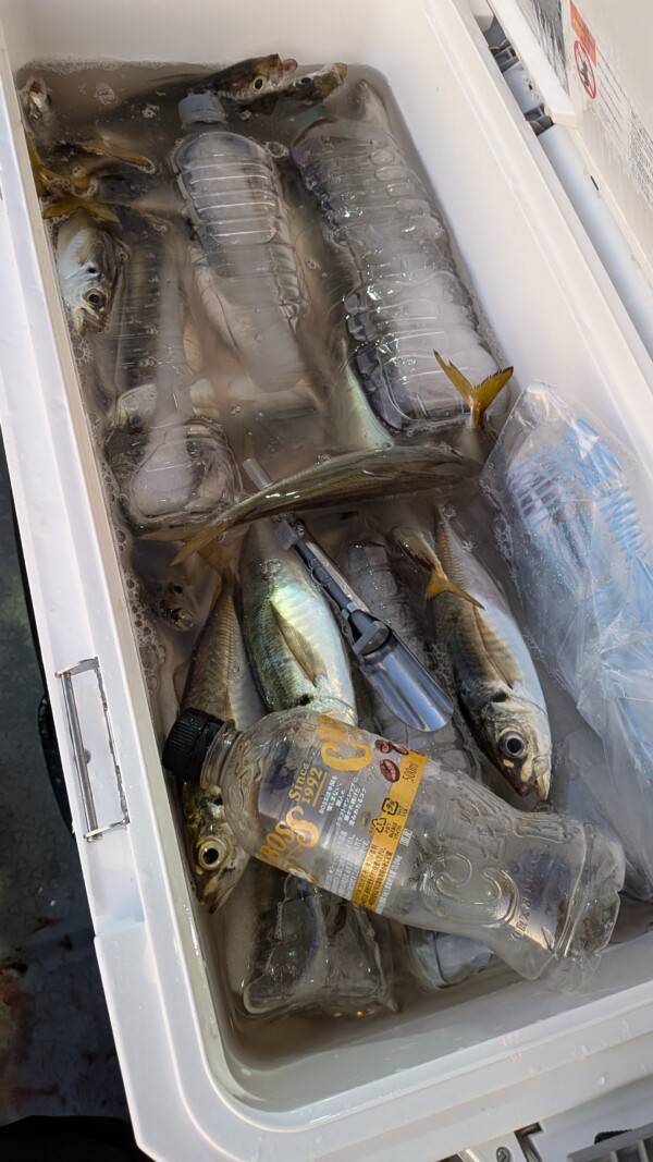 釣果写真