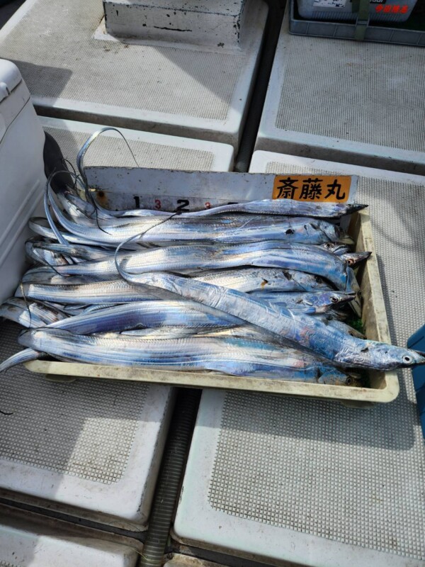 釣果写真