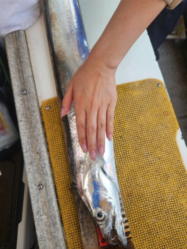 釣果写真