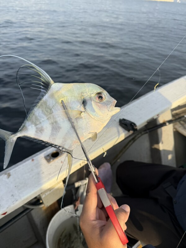 釣果写真