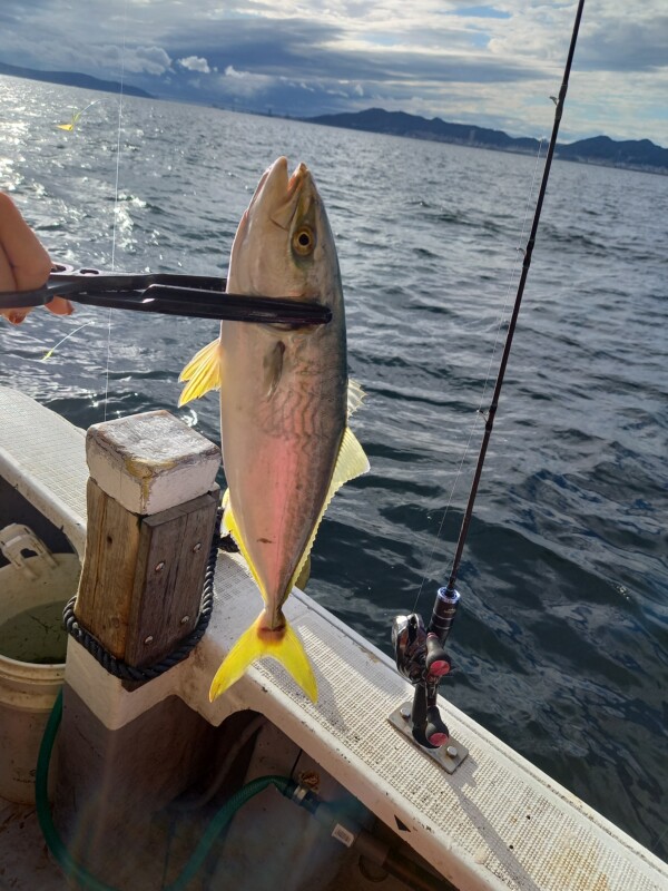 釣果写真