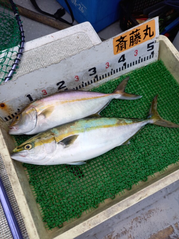釣果写真