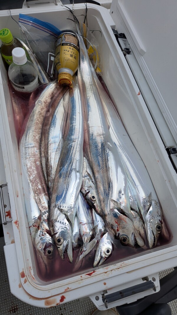 釣果写真