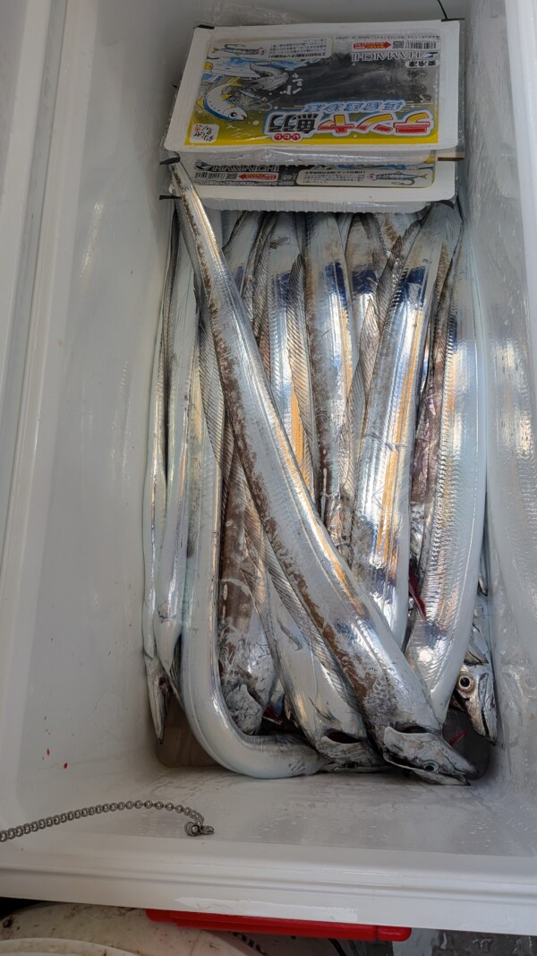 釣果写真