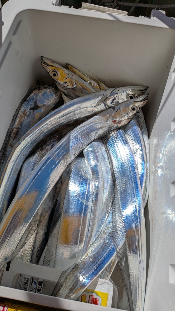 釣果写真