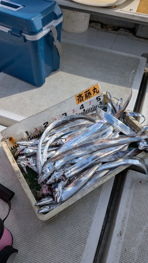 釣果写真