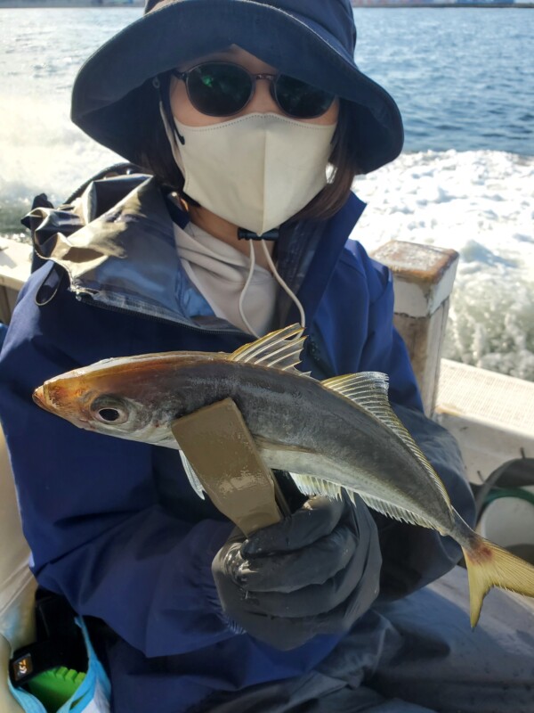釣果写真